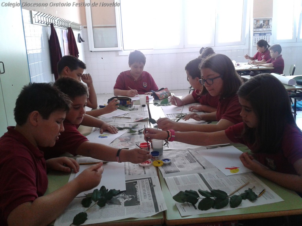 Ciencias en 5 primaria 2